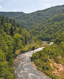 Le Chasseur Français 1548 L'Allier, la mémoire du saumon