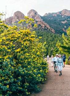 Le Chasseur Français 1548 Le mimosa, le soleil de l'hiver