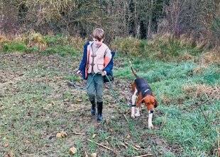 Le Chasseur Français 1549 Faire le pied : l'art de faire parler la terre