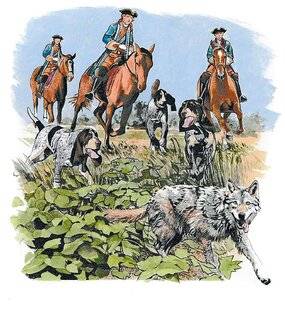 Le Chasseur Français 1549 Tradition La vénerie du loup