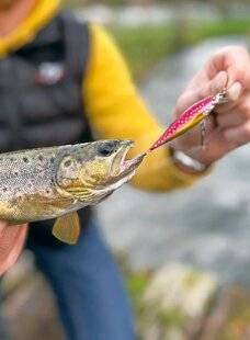 Le Chasseur Français 1549 4 montages pour être un crack !