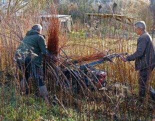 Le Chasseur Français 1549 Les vanniers de Touraine subliment l'osier