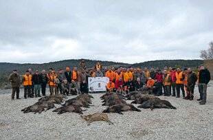 Le Chasseur Français 1549 Battue au camp militaire de Canjuers