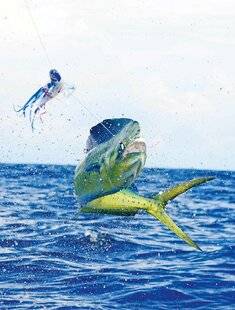 Le Chasseur Français 1550 Quelle sera la pêche de demain ?