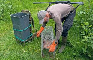 Le Chasseur Français 1550 Le piégeage des ragondins