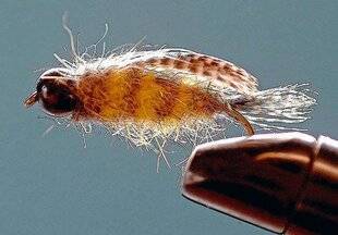 Le Chasseur Français 1550 Avril en mouche noyée