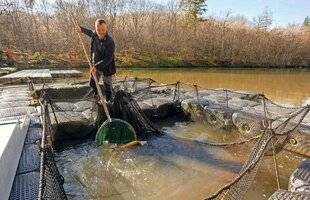 Le Chasseur Français 1550 Émericet ses mille métiers