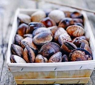 Le Chasseur Français 1550 C'est le moment : l'amande de mer