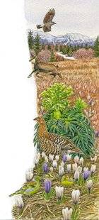 Le Chasseur Français 1550 Avril