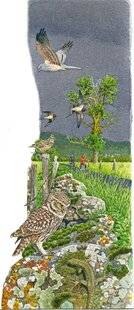 Le Chasseur Français 1551 MAI