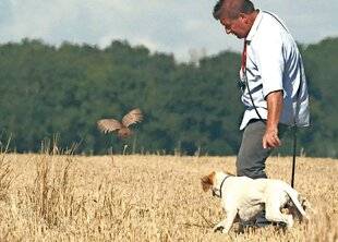 Le Chasseur Français 1551 Mon chien est à l'arrêt, que faire ?