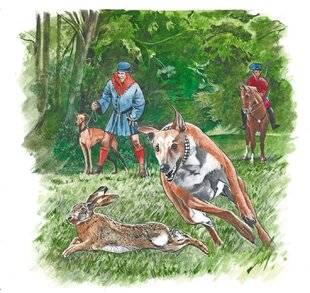 Le Chasseur Français 1551 Lévrier : la chasse à vue à toute vitesse