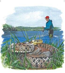 Le Chasseur Français 1551 La couleuvre à collier(Natrix natrix)