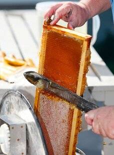 Le Chasseur Français 1551 Piqûre de rappel