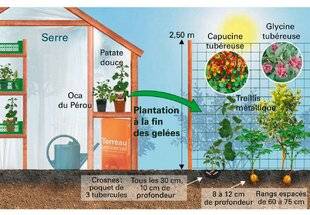 Le Chasseur Français 1551 Bichonnez les tubercules au fil des mois