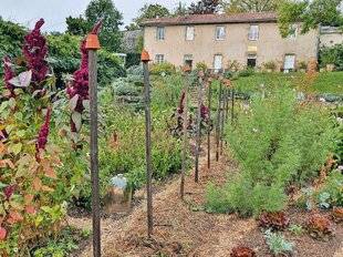 Le Chasseur Français 1551 Un paillis déco-utile