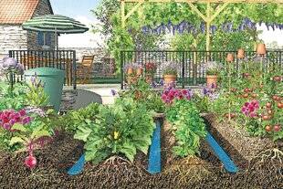 Le Chasseur Français 1551 Ça rigole au potager !