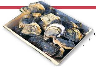 Le Chasseur Français 1551 Les huîtres Hélie de Saint-Vaast