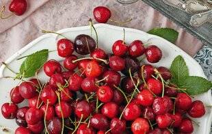 Le Chasseur Français 1551 La cerise, premier fruit à noyau de l'année