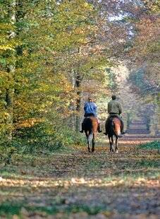 Le Chasseur Français 1552 Il faut sauver la forêt de chantilly