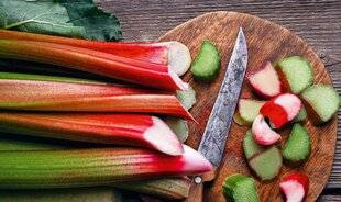 Le Chasseur Français 1552 La rhubarbe, fruit acidulé en tige