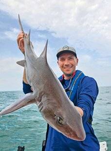 Le Chasseur Français 1552 L'émissole, un petit requin plus combatif que le bar !