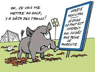 Le Chasseur Français 1552 Les arrêtés municipaux les plus insolites