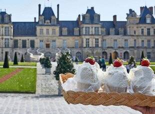 Le Chasseur Français 1552 Le fontainebleau, mousse royale