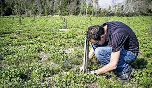 Le Chasseur Français 1553 Protéger les plants forestiers
