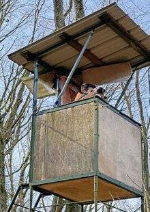 Le Chasseur Français 1553 Futur chasseur