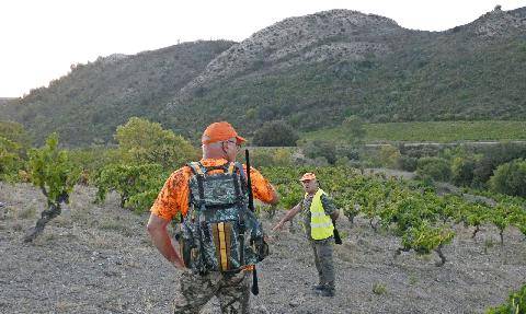 Le Chasseur Français 1554 Battue estivale dans les Corbières