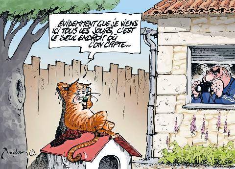 Le Chasseur Français 1554 Rémi, chat libre sous contrôle judiciaire