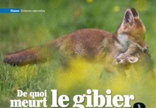 La Revue Nationale de La Chasse 858 De quoi meurt le gibier lorsqu'il n'est pas chassé ?
