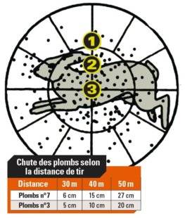 La Revue Nationale de La Chasse 858 Pourquoi un canon lisse doit tirer haut ?