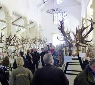 La Revue Nationale de La Chasse 858 Cerfs et Terroir