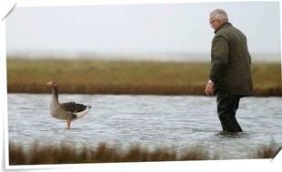 La Revue Nationale de La Chasse 859 Chasse des oies et Conseil d'État : le mauvais feuilleton continue