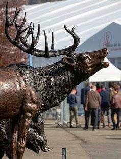 La Revue Nationale de La Chasse 859 Tout pour les chasseurs !