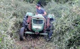 La Revue Nationale de La Chasse 859 Nourrir les bécasses au bois !