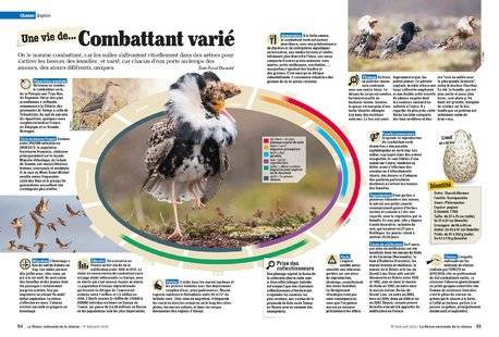 La Revue Nationale de La Chasse 859 Combattant varié