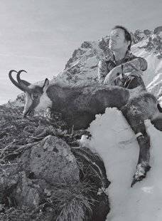 La Revue Nationale de La Chasse 859 Chasse et montagne, sont un même amour ”