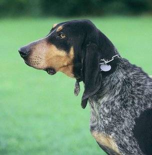 La Revue Nationale de La Chasse 860 Un Suisse en robe bleue