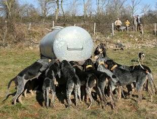 La Revue Nationale de La Chasse 860 Réchauffement climatique, un faux problème