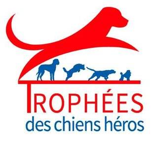La Revue Nationale de La Chasse 862 Des chiens d'exception à l'honneur
