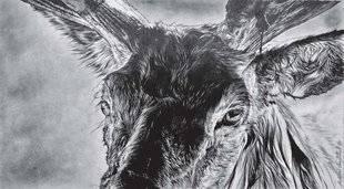 La Revue Nationale de La Chasse 862 Hélène Préveraud présente La conversion de Saint-Hubert