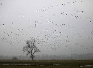 La Revue Nationale de La Chasse 862 Un héritage climatique