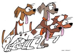 La Revue Nationale de La Chasse 862 Chienne en chaleur : Chasser sans affoler tous les chiens