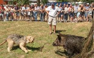 La Revue Nationale de La Chasse 863 Bien ferme