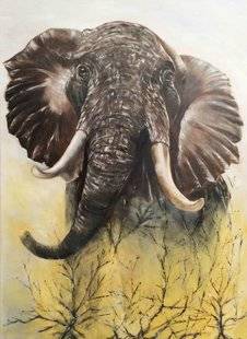 La Revue Nationale de La Chasse 863 Barbara Blanguernon Gros plan sur Jumbo