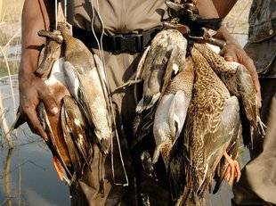 La Revue Nationale de La Chasse 863 Du gibier à profusion