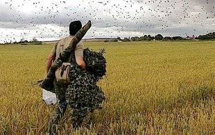La Revue Nationale de La Chasse 863 Pigeon ramier
